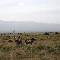 IMG_20250114-00-IMG_8360