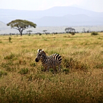 IMG_20250114-00-IMG_8362