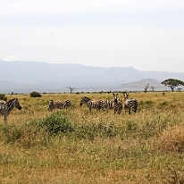 IMG_20250114-00-IMG_8367