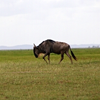 IMG_20250115-00-IMG_8750