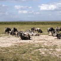 IMG_20250115-00-IMG_8807