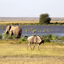 IMG_20250115-00-IMG_8844