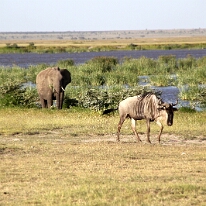 IMG_20250115-00-IMG_8846