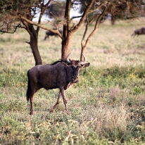 IMG_20250118-01-IMG_0148