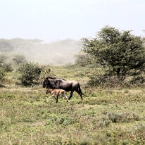 IMG_20250118-01-IMG_9729