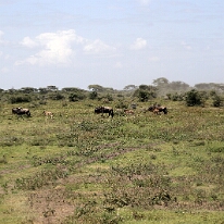 IMG_20250118-01-IMG_9734