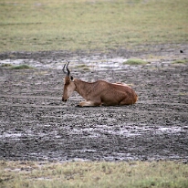 IMG_20250118-01-IMG_9862