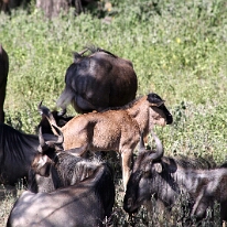 IMG_20250119-01-IMG_0355