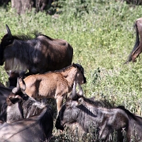 IMG_20250119-01-IMG_0357