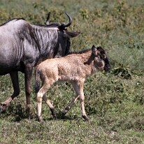 IMG_20250119-01-IMG_0368