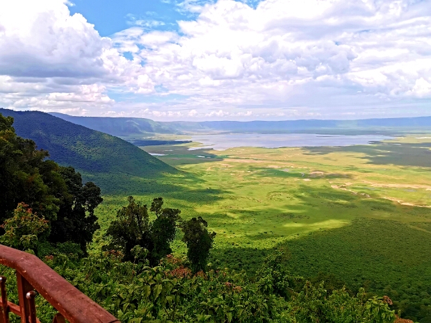 Ngorongoro